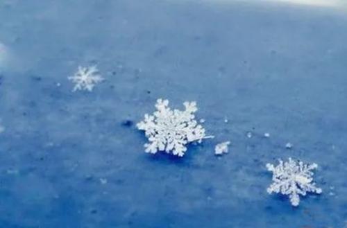 《第一片雪花》LRC歌词 《第一片雪花》(陈明)歌词555uuu下载