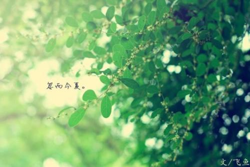 《今夏去夏》LRC歌词 《今夏去夏》(终不悔)歌词555uuu下载