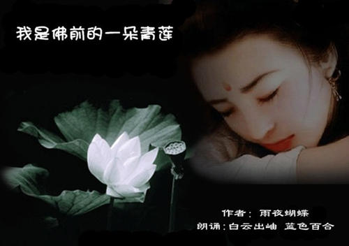 《我是佛前一朵青莲》LRC歌词 《我是佛前一朵青莲》(陶莹)歌词555uuu下载