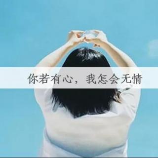 《绝情的心》(杨清明)歌词555uuu下载