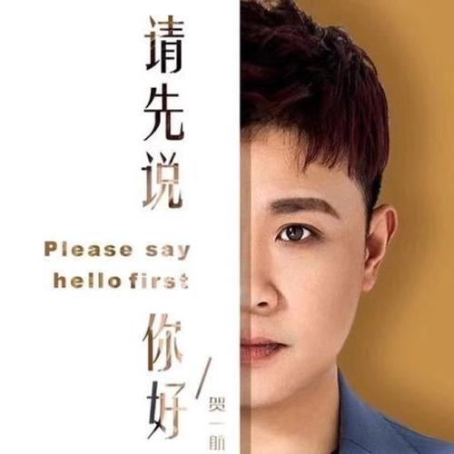 《请先说你好》LRC歌词 《请先说你好》(贺一航)歌词555uuu下载