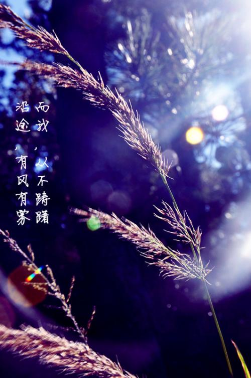 《就这样离我远去》LRC歌词 《就这样离我远去》(陈勇)歌词555uuu下载