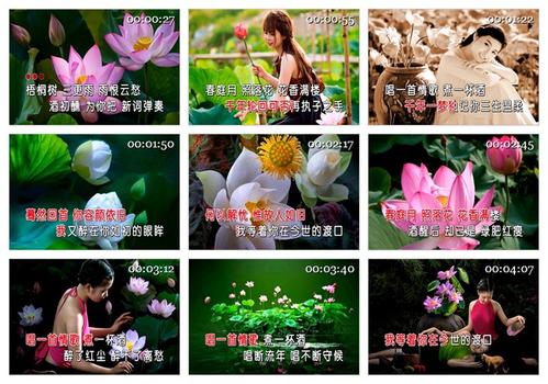 《情歌煮酒》LRC歌词 《情歌煮酒》(任妙音)歌词555uuu下载