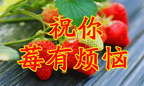 《所有的祝福都送给你》LRC歌词 《所有的祝福都送给你》(赵红军)歌词555uuu下载