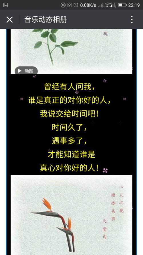 《不后悔曾经爱过》(谢小雨)歌词555uuu下载