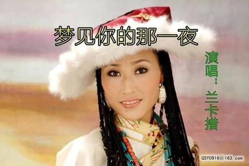 《那一夜再见》LRC歌词 《那一夜再见》(游鸿明)歌词555uuu下载