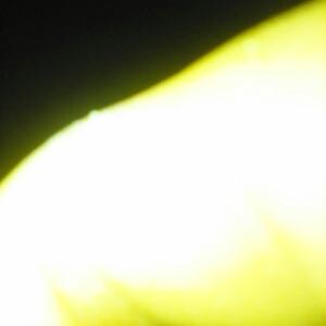 《下辈子依然爱你》LRC歌词 《下辈子依然爱你》(温亚伦)歌词555uuu下载