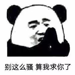 《别宠我》LRC歌词 《别宠我》(陶钰玉)歌词555uuu下载