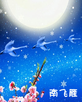 《新南飞雁》LRC歌词 《新南飞雁》(阎琰)歌词555uuu下载