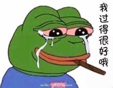 《我过的很好》LRC歌词 《我过的很好》(庄心妍)歌词555uuu下载