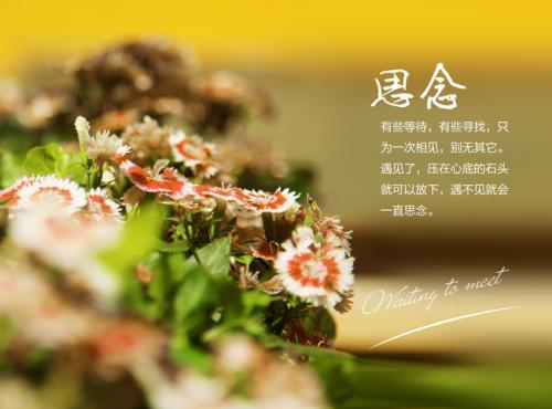 《除了想念》LRC歌词 《除了想念》(郑青儿)歌词555uuu下载