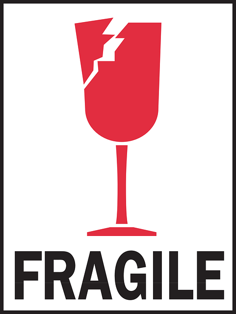《fragile》LRC歌词 《fragile》(Salley)歌词555uuu下载