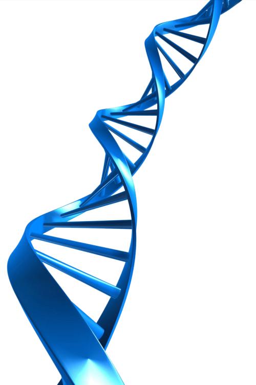 《DNA》LRC歌词 《DNA》(BY2)歌词555uuu下载