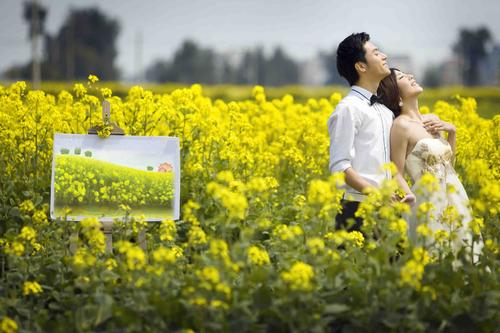 《油菜花之恋》LRC歌词 《油菜花之恋》(龙飞,蒋婴)歌词555uuu下载