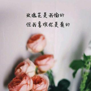 《我是你的玫瑰》LRC歌词 《我是你的玫瑰》(张可儿)歌词555uuu下载
