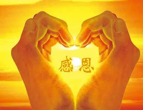 《感恩的歌声》LRC歌词 《感恩的歌声》(陈雷)歌词555uuu下载
