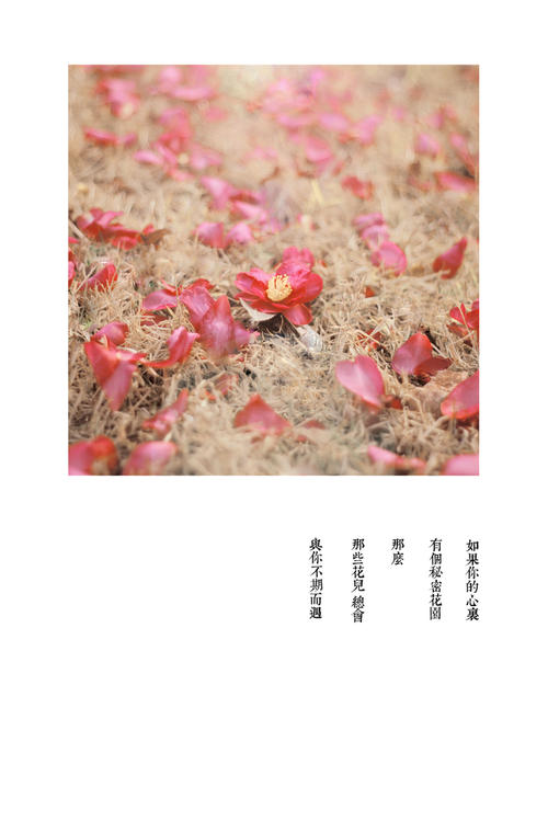 《温柔的碎片》LRC歌词 《温柔的碎片》(伊宁)歌词555uuu下载