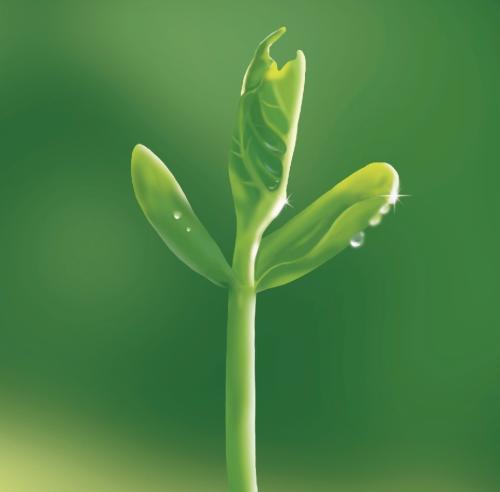 《小草》LRC歌词 《小草》(容祖儿)歌词555uuu下载