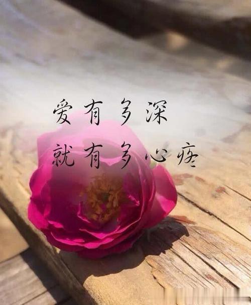 《曾最爱的人》LRC歌词 《曾最爱的人》(夏冰)歌词555uuu下载