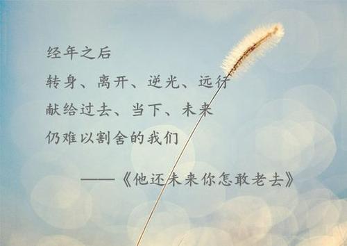 《浅遇深爱》LRC歌词 《浅遇深爱》(郭云鹏)歌词555uuu下载