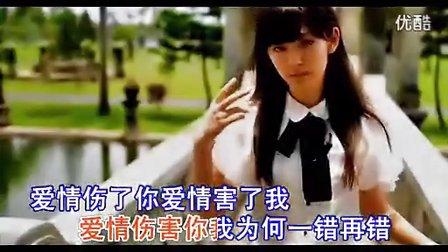 《爱情伤了我 害了你》LRC歌词 《爱情伤了我 害了你》(大庆小芳)歌词555uuu下载