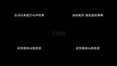 《真心英雄 (Live)》LRC歌词 《真心英雄 (Live)》(胡歌&靳东&李宗盛&周华健)歌词555uuu下载