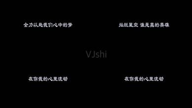 《真心英雄 （Live）》(胡歌&靳东&李宗盛&周华健)歌词555uuu下载