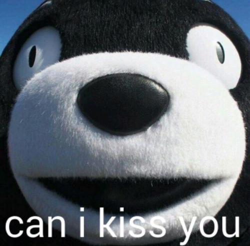 《Can I Kiss You》LRC歌词 《Can I Kiss You》(曾轶可)歌词555uuu下载