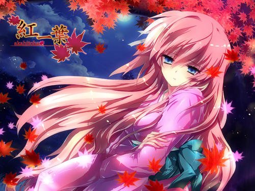 《紅一葉》LRC歌词 《紅一葉》(巡音ルカ)歌词555uuu下载