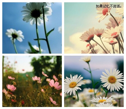 《如果记忆不说话》LRC歌词 《如果记忆不说话》(陈,瑞)歌词555uuu下载
