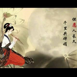 《明月几时有》LRC歌词 《明月几时有》(徐金慧)歌词555uuu下载
