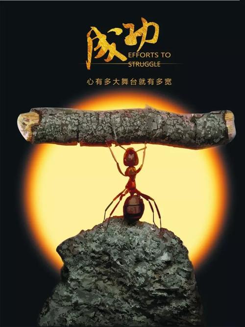 《不是所有》LRC歌词 《不是所有》(冷漠)歌词555uuu下载