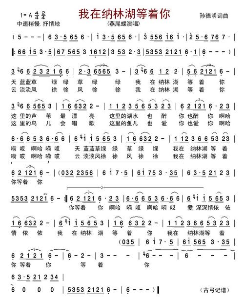 《我在纳林湖等着你》LRC歌词 《我在纳林湖等着你》(哈布尔)歌词555uuu下载