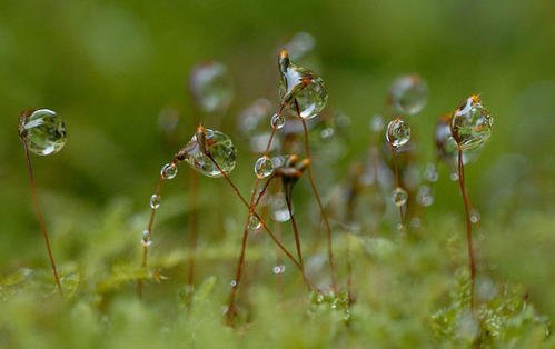 《雨后世界》(崔天宇)歌词555uuu下载