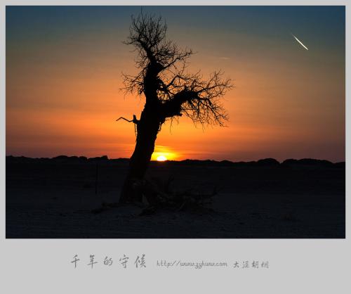 《曾经守候》LRC歌词 《曾经守候》(张碧晨)歌词555uuu下载