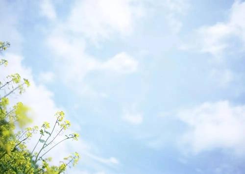 《你是我的晴天》LRC歌词 《你是我的晴天》(苏唯)歌词555uuu下载