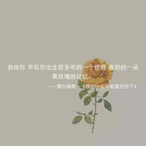 《可以留住你》LRC歌词 《可以留住你》(杨英)歌词555uuu下载