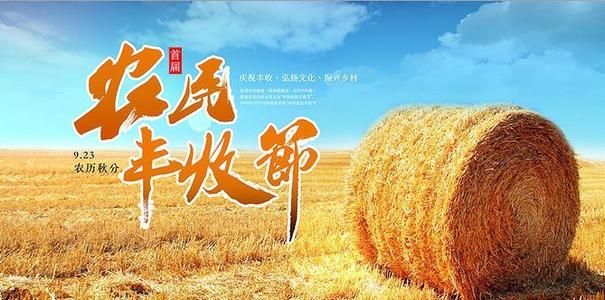 《年年岁岁丰收来》(王二妮)歌词555uuu下载