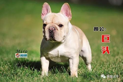 《种种可能》LRC歌词 《种种可能》(许晴)歌词555uuu下载