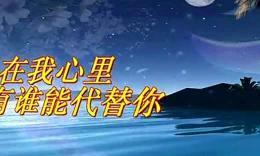 《在我心里没有谁能代替你》LRC歌词 《在我心里没有谁能代替你》(苏月)歌词555uuu下载