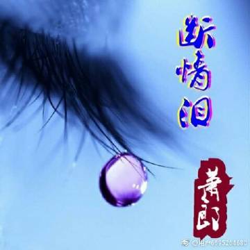 《断情泪》LRC歌词 《断情泪》(萧郎)歌词555uuu下载