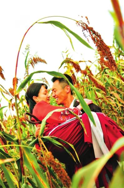 《红高粱》LRC歌词 《红高粱》(王昭璋)歌词555uuu下载