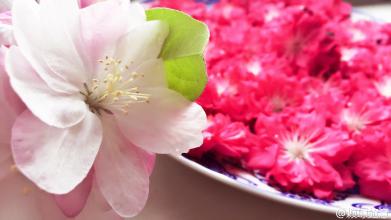《泪吻落花》LRC歌词 《泪吻落花》(曾妮)歌词555uuu下载