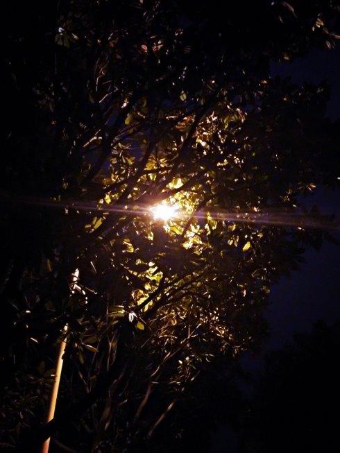 《梧桐灯》LRC歌词 《梧桐灯》(许嵩)歌词555uuu下载