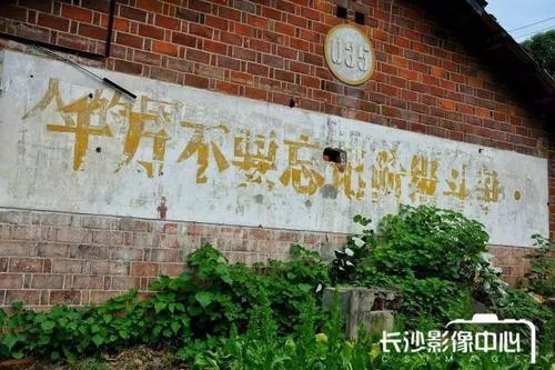 《预谋邂逅》LRC歌词 《预谋邂逅》(阿肆)歌词555uuu下载