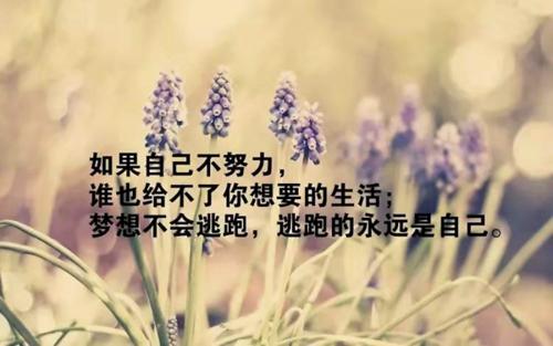 《静心去爱》LRC歌词 《静心去爱》(王小娟)歌词555uuu下载