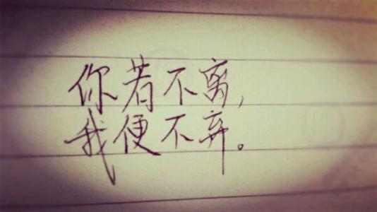 《你不离我不弃》LRC歌词 《你不离我不弃》(天籁天)歌词555uuu下载