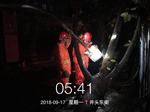 《夜深人不休》LRC歌词 《夜深人不休》(吕莘)歌词555uuu下载