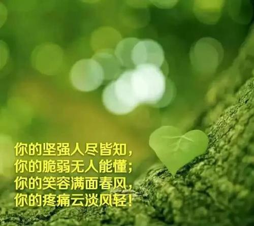 《你带走了我的心》(吴生全)歌词555uuu下载