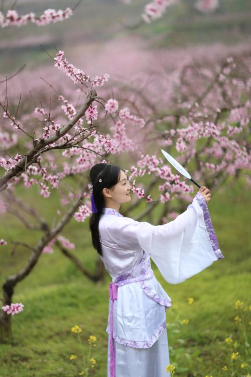 《十里桃花一生情》LRC歌词 《十里桃花一生情》(魏新雨)歌词555uuu下载
